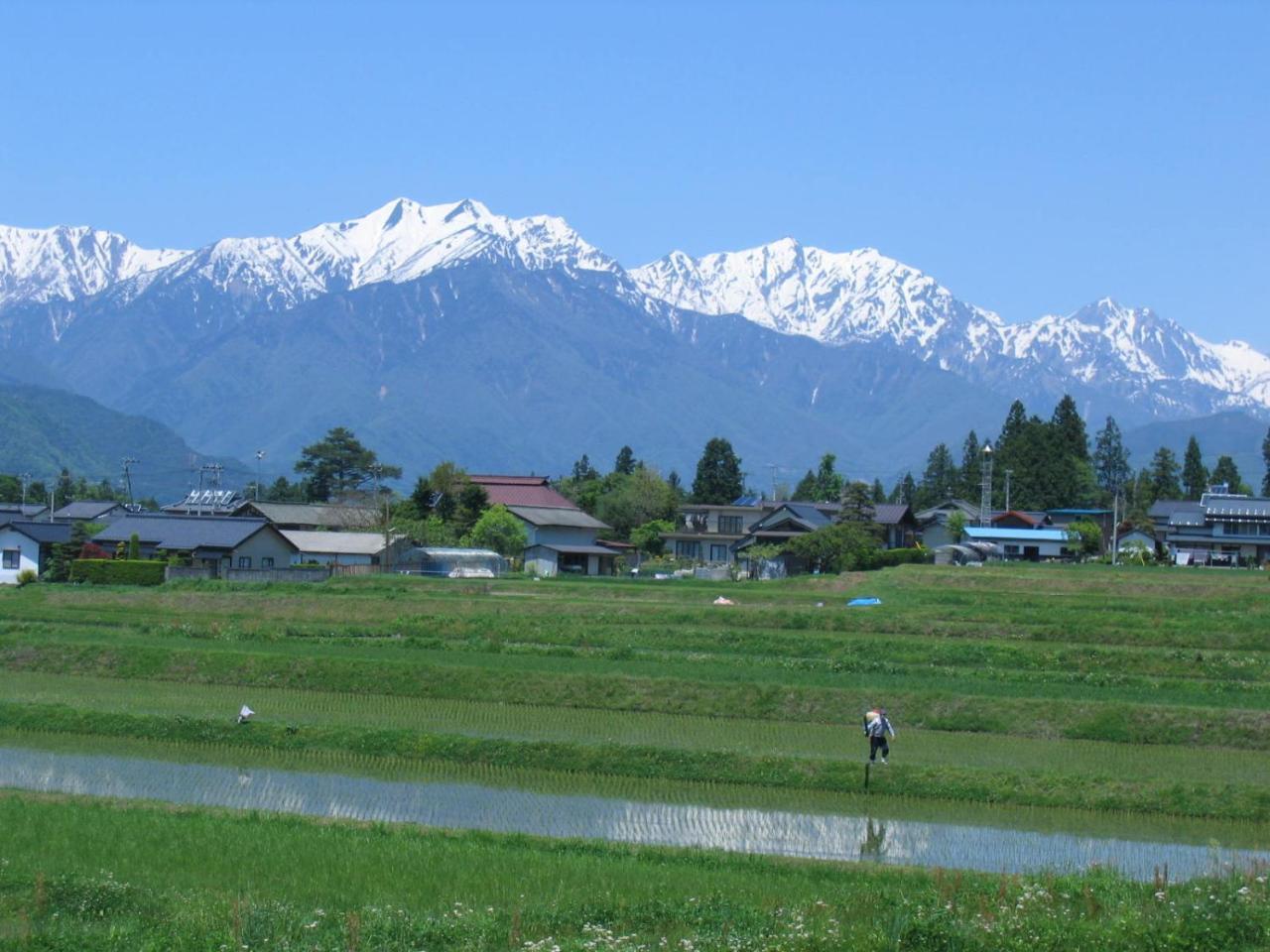 Mori No Michikusa Matsumoto Bagian luar foto